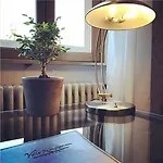 科尼斯加滕别墅旅馆 酒店 Siebeldingen