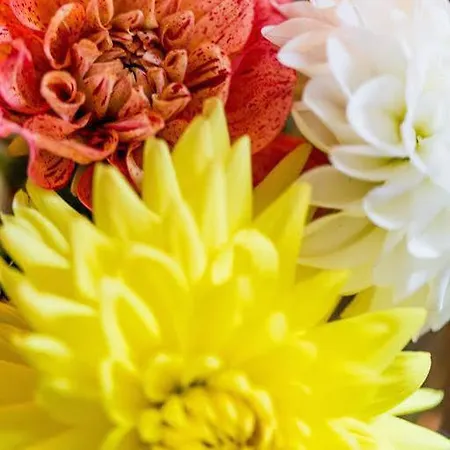 ホテル Koenigsgarten 3*