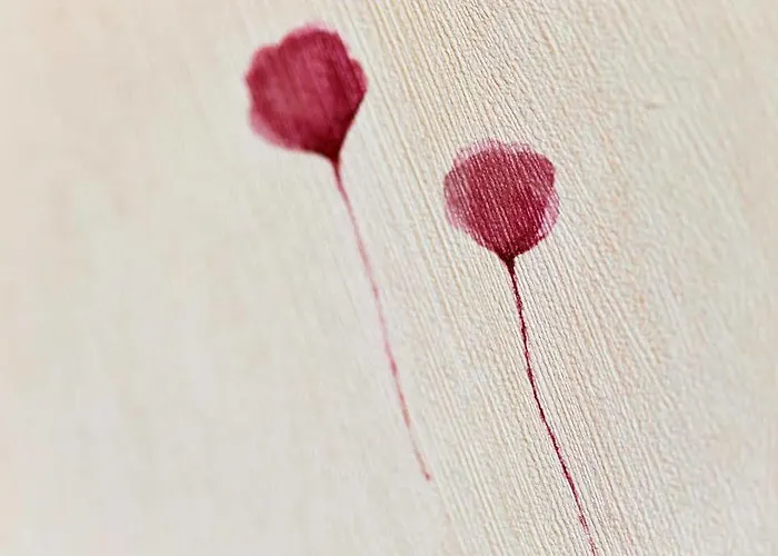 Koenigsgarten Ξενοδοχείο